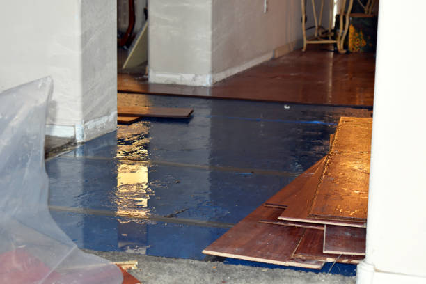 Professional Flood Damage Restoration technician working in Hallandale, FL